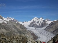 IMG_6604