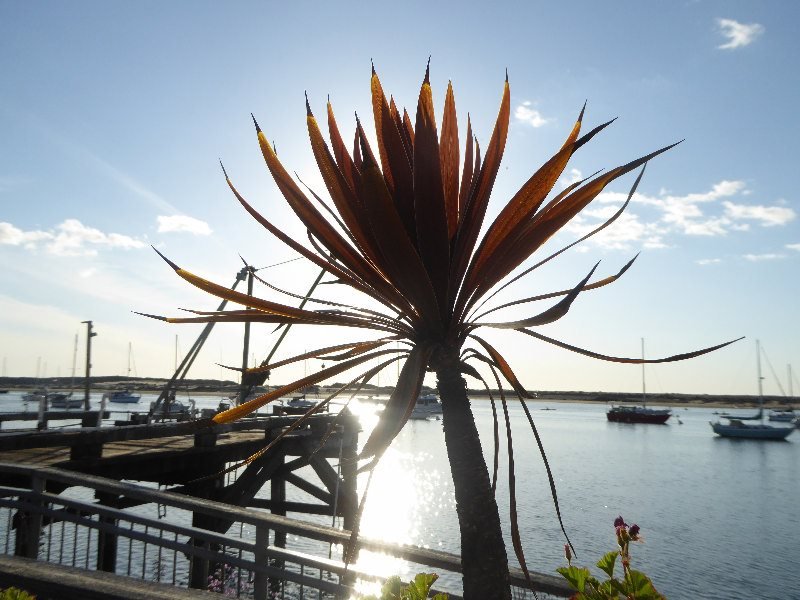 MorroBay 6